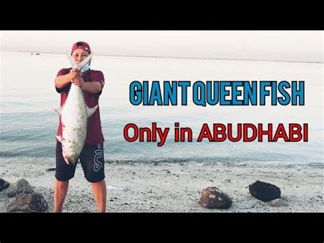 FishingTime... Giant Queen fish@Abu Dhabi - YouTube