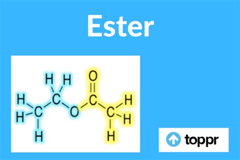 What is Ester: Definition, Nomenclature, Properties, Structure, Reactions