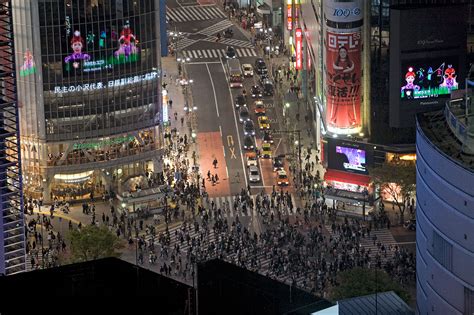 Shibuya Crossing | Broke Tourist