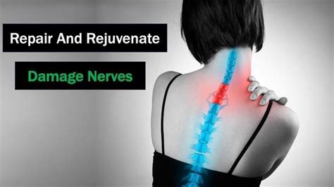 Repair Damaged Nerve Naturally