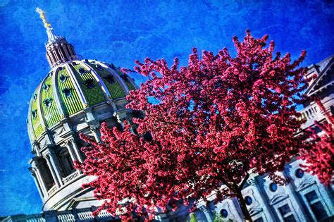 Pennsylvania State Capitol Dome in Bloom Photograph by Shelley Neff ...