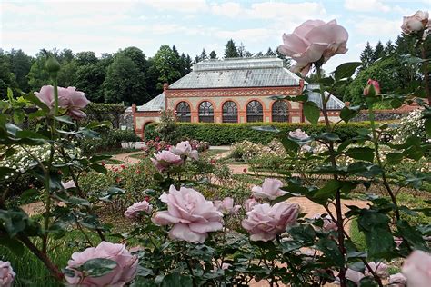 Rose Garden & Conservatory - Biltmore - Jonathan Royal Jackson