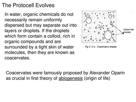 Origin and History of Life - ppt download