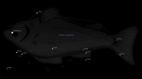 Piscis Austrinus Constellation Stars – Astrology King