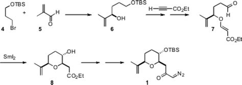 The Clark Synthesis of Vigulariol