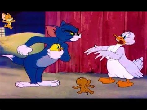 ᴴᴰ Tom And Jerry ♥ Little Quacker ♥♥♥ Best Cartoons For Kids ♥ ...