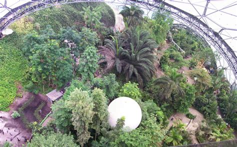 Tropical Biome, Eden Project © Len Williams :: Geograph Britain and Ireland