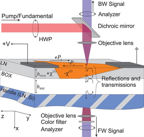 Cool Physics: Second Harmonic Microscopy...