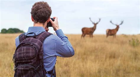 5 of The Best Places to Capture Wildlife Photographs in the World ...