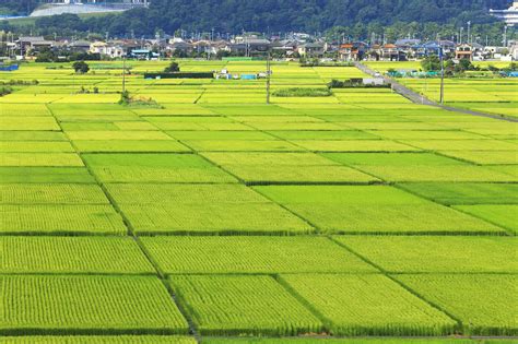 江苏新增2个全国农村改革试验区 总数继续保持全国第一|试验区|江苏|农村改革_新浪新闻