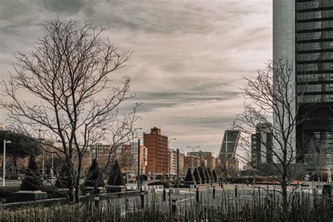 Beautiful Shot of the Park in the City during the Sunrise Stock Image ...