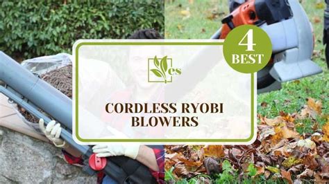 Ryobi Leaf Blower Comparison | atelier-yuwa.ciao.jp