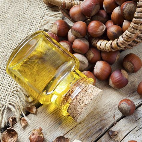 The Benefits of Hazelnut Oil for Moisture Retention | Beautycon.com