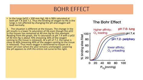 BOHR EFFECT - YouTube