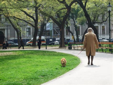 Lady walking dog | I really liked this little old lady walki… | Flickr