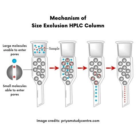 HPLC Columns – Definition, Principle, Types, and Maintenance