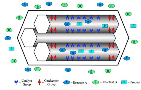 Heterogeneous Catalysis - Exascale Computing Project