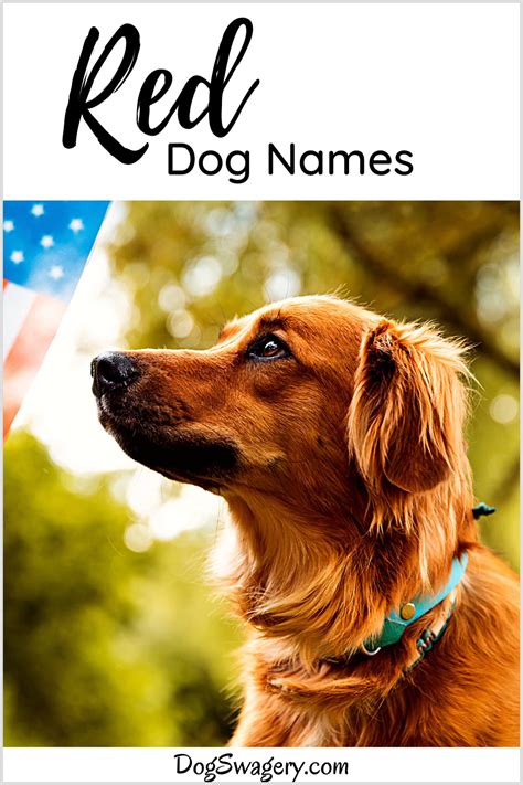 127+ Best Red Dog Names for your Fiery & Energetic Dog