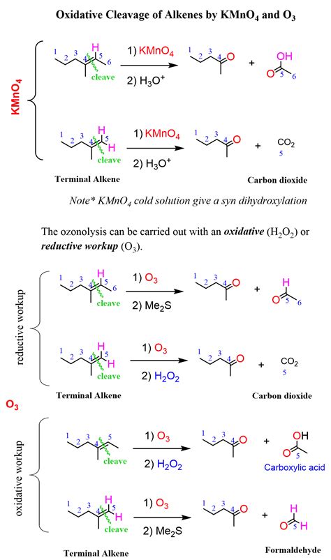 Oxidative Cleavage of Alkenes with KMno4 and O3 - Chemistry Steps