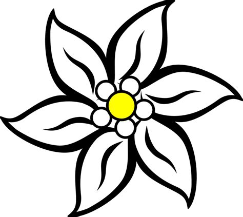 Edelweiss Flower Nature · Free vector graphic on Pixabay