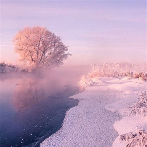 Pin by Emily Brooks on NatureAnimals | Winter photography, Nature aesthetic, Snow photography