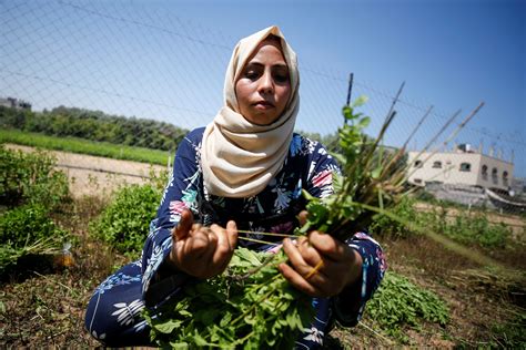 Women In Gaza Create Cosmetics From Local Herbs - Bullfrag