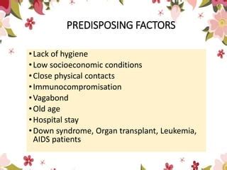 scabies.pptx