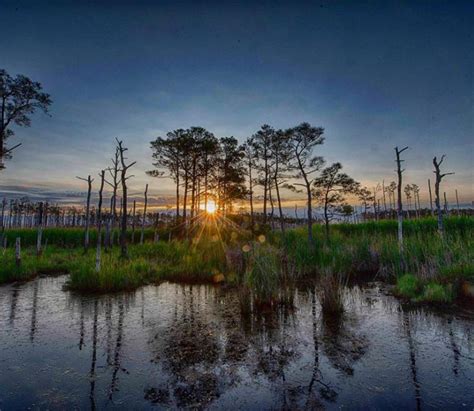 Eastern Shore Escapes: Maryland's Coastal Charms | VisitMaryland.org