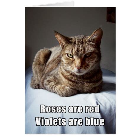 Valentine Cat funny poem Greeting Card | Zazzle