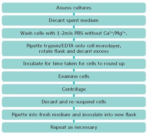 Cell Culture Protocol 4: Subculture of Semi-Adherent Cell Lines