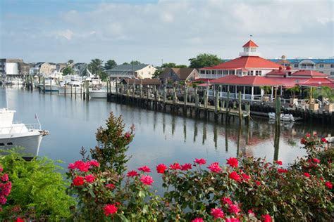 Best Places to Live in Delaware | LaptrinhX / News