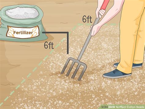 How to Plant Cotton Seeds: 11 Steps (with Pictures) - wikiHow