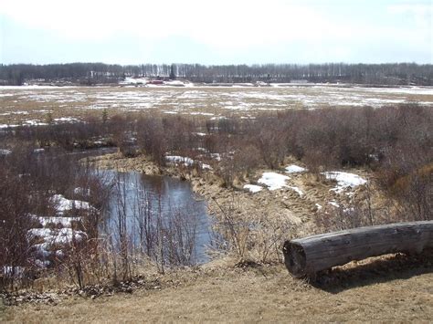 Natural Surroundings - Lazy M Lodge