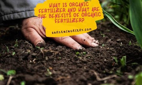 What Is Organic Fertilizer And What Are The Benefits Of Organic Fertilizer? | GARDENS NURSERY