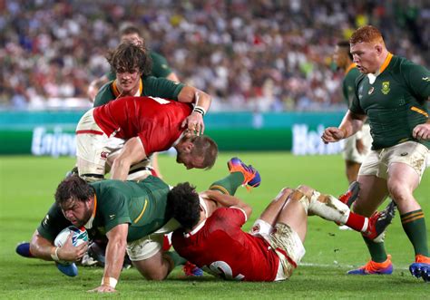 Top Rugby Teams to Watch - Rugby World Cup 2023 | Blog | Edusport