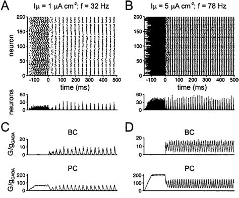 A ''realistic'' interneuron network model with fast inhibitory synapses... | Download Scientific ...