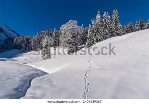 Footprint Through Snow Snowshoe Trail Snowy Stock Photo 2403439387 | Shutterstock