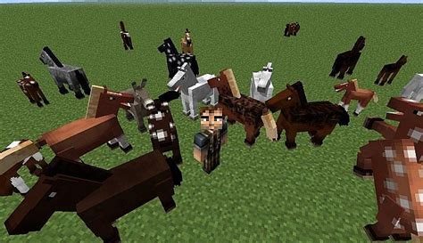 Custom Horse Skins!