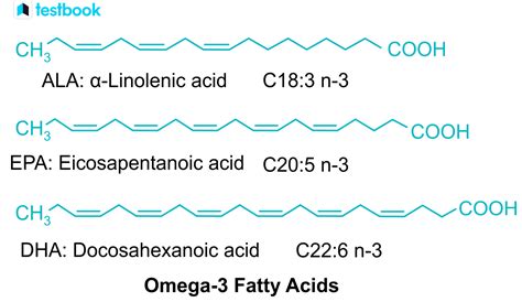 omega-3 Fatty Acid: Definition, Structure, Sources, Benefits, Uses, side effects, symptoms, and ...