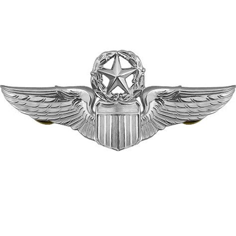 Air Force Pilot Badge | USAMM