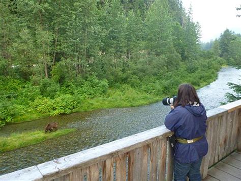 Bear Viewing in Alaska, Alaska Department of Fish and Game