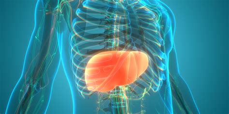 What Is Hepatic Steatosis - Causes, Diagnosis, Treatment - AQMDI