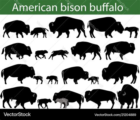 American bison buffalo silhouettes Royalty Free Vector Image