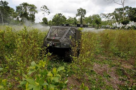 Colombia’s Coca Acreage for Cocaine Production at All-Time High - The ...