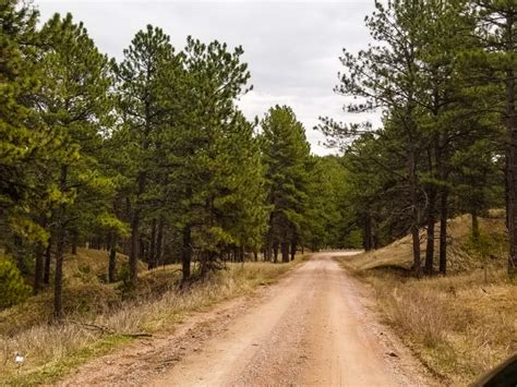 Nebraska National Forest area Nebraska National Forest area