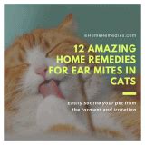 12 Amazing Home Remedies for Ear Mites in Cats