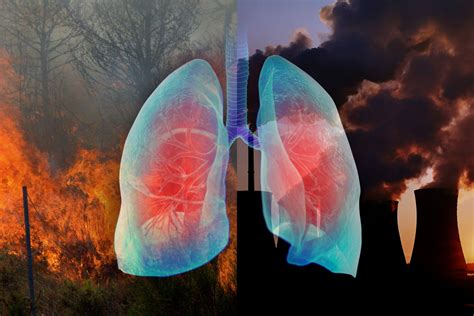 American Lung Association Report Shows 40% of US Regularly Breathes ...