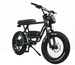 Electric Fat Bike 250w | jsandanski-strumica.edu.mk