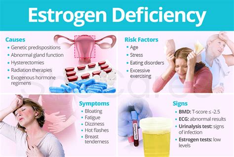 Symptoms And Signs Of Estrogen Deficiency And Vaginal | Hot Sex Picture