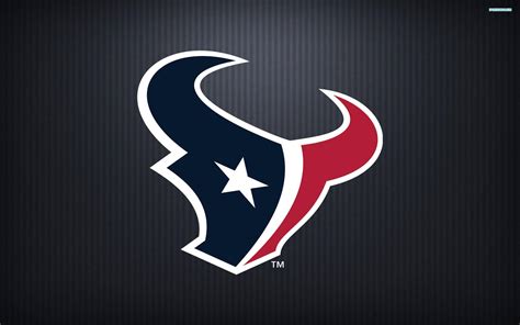 Texans Logo